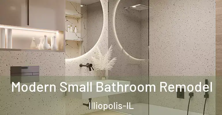 inner Bathroom imggen Modern Small Bathroom Remodel Illiopolis-IL
