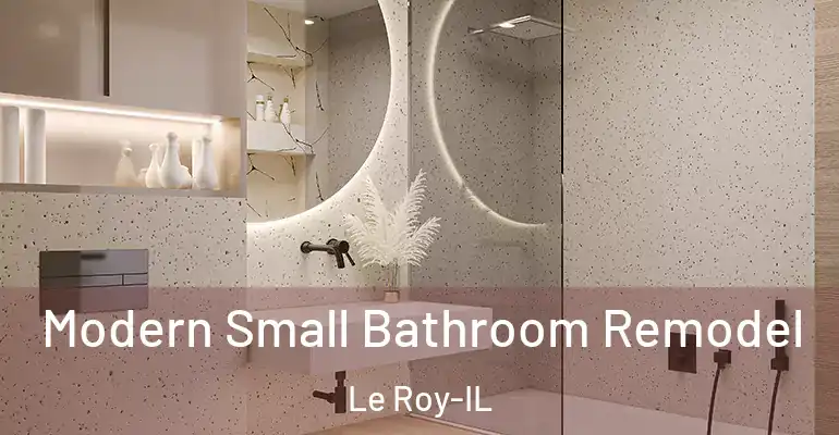 inner Bathroom imggen Modern Small Bathroom Remodel Le Roy-IL
