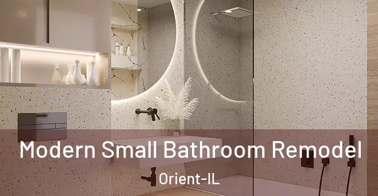 inner Bathroom imggen Modern Small Bathroom Remodel Orient-IL