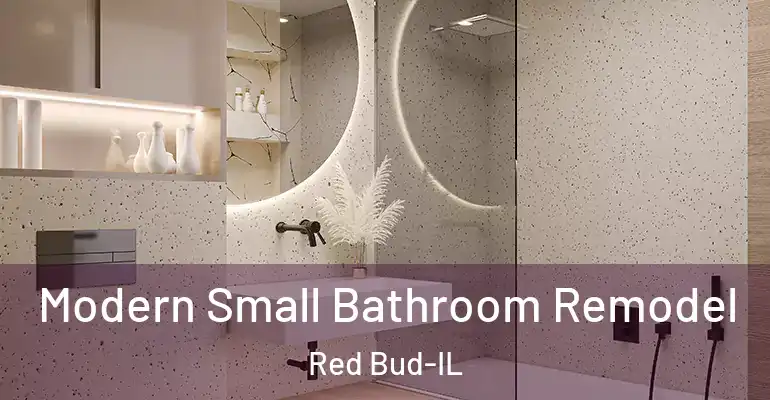 inner Bathroom imggen Modern Small Bathroom Remodel Red Bud-IL