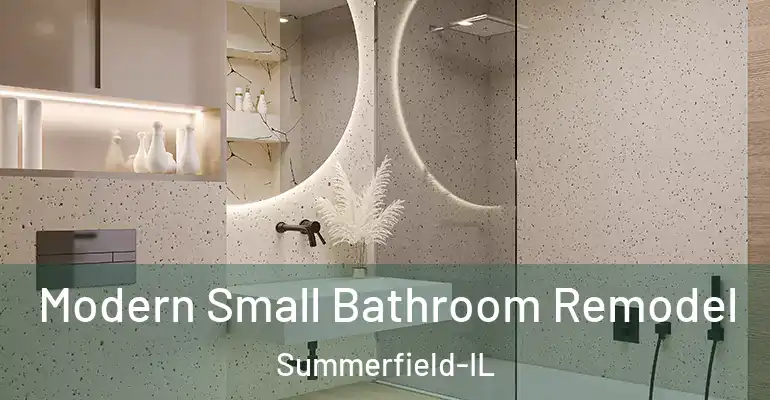 inner Bathroom imggen Modern Small Bathroom Remodel Summerfield-IL