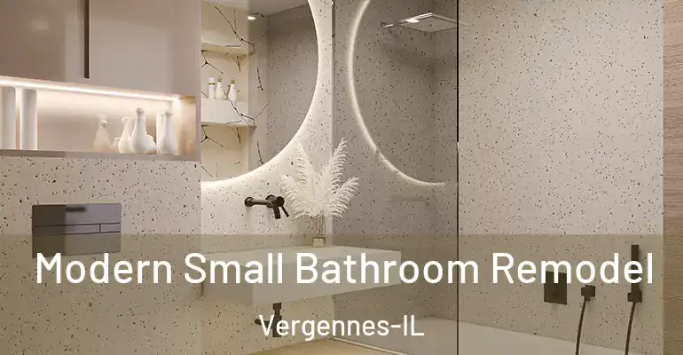 inner Bathroom imggen Modern Small Bathroom Remodel Vergennes-IL