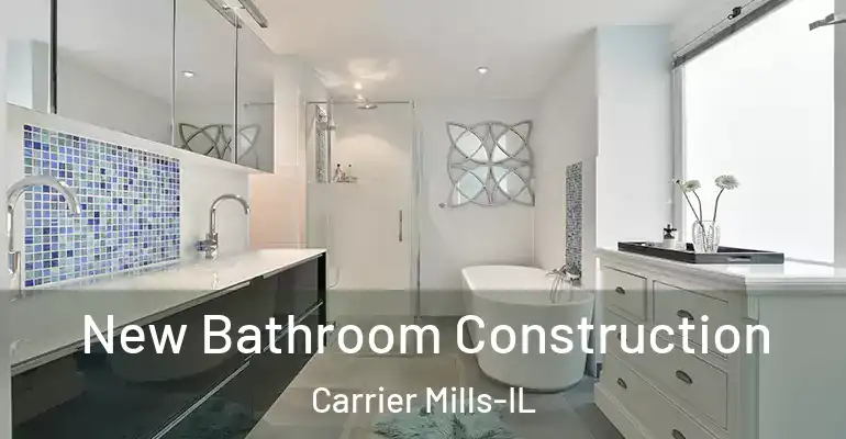 inner Bathroom imggen New Bathroom Construction Carrier Mills-IL