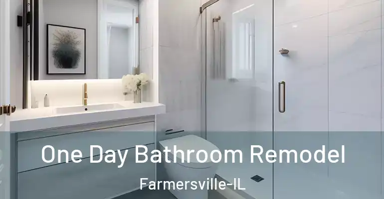 inner Bathroom imggen One Day Bathroom Remodel Farmersville-IL