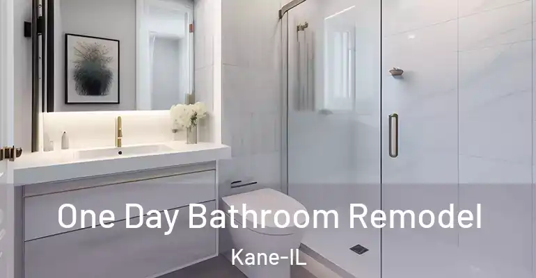 inner Bathroom imggen One Day Bathroom Remodel Kane-IL