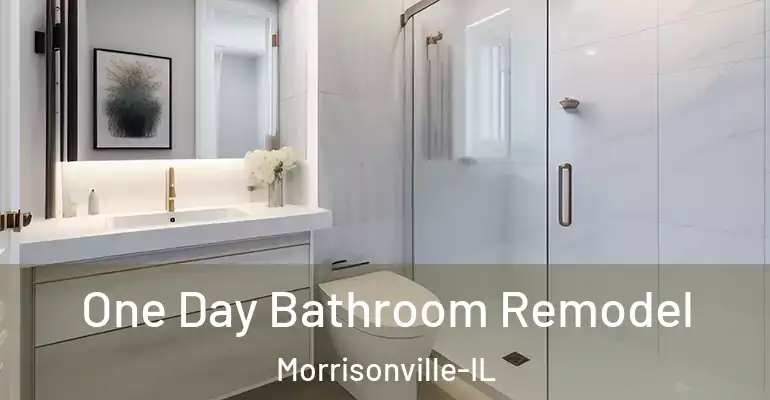 inner Bathroom imggen One Day Bathroom Remodel Morrisonville-IL