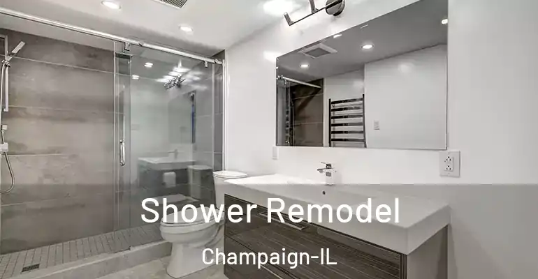 inner Bathroom imggen Shower Remodel Champaign-IL