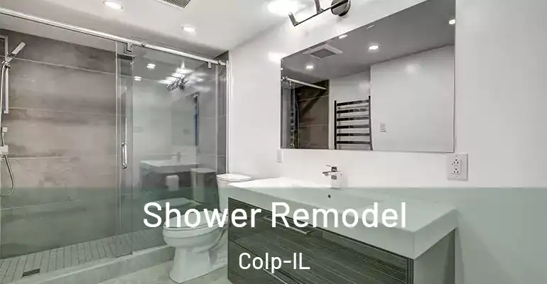 inner Bathroom imggen Shower Remodel Colp-IL