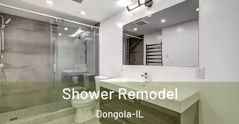 inner Bathroom imggen Shower Remodel Dongola-IL
