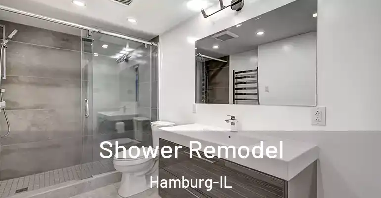 inner Bathroom imggen Shower Remodel Hamburg-IL