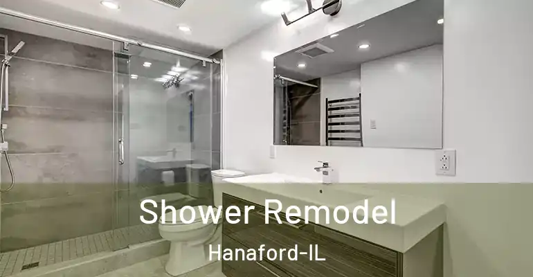 inner Bathroom imggen Shower Remodel Hanaford-IL