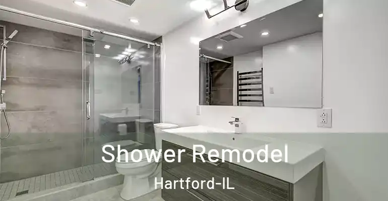 inner Bathroom imggen Shower Remodel Hartford-IL