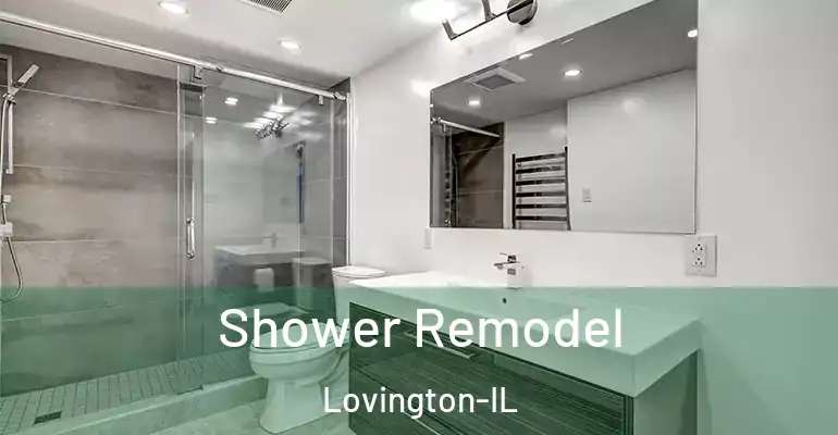 inner Bathroom imggen Shower Remodel Lovington-IL