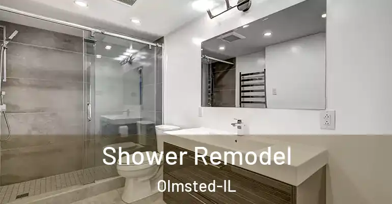 inner Bathroom imggen Shower Remodel Olmsted-IL