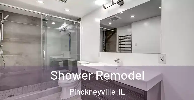 inner Bathroom imggen Shower Remodel Pinckneyville-IL