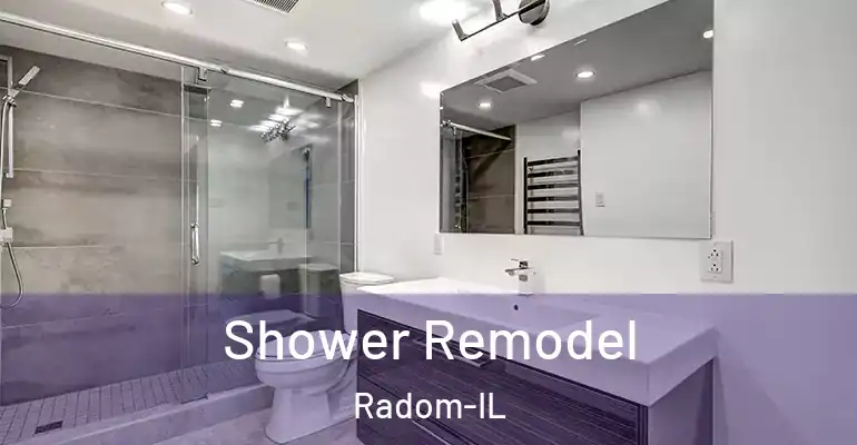 inner Bathroom imggen Shower Remodel Radom-IL