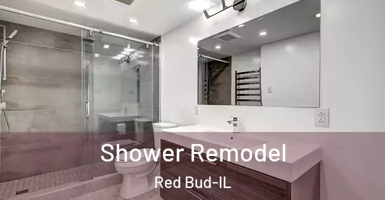 inner Bathroom imggen Shower Remodel Red Bud-IL
