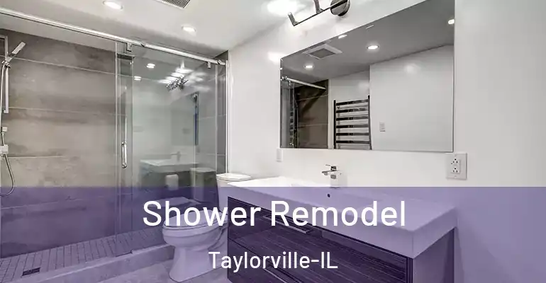 inner Bathroom imggen Shower Remodel Taylorville-IL