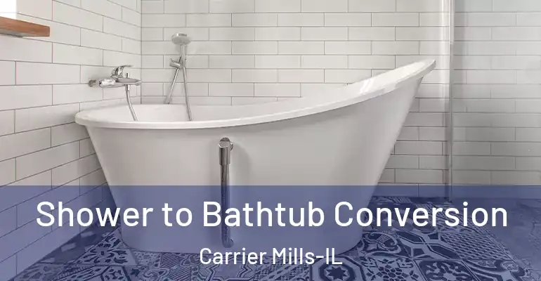 inner Bathroom imggen Shower to Bathtub Conversion Carrier Mills-IL