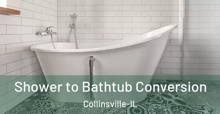 inner Bathroom imggen Shower to Bathtub Conversion Collinsville-IL