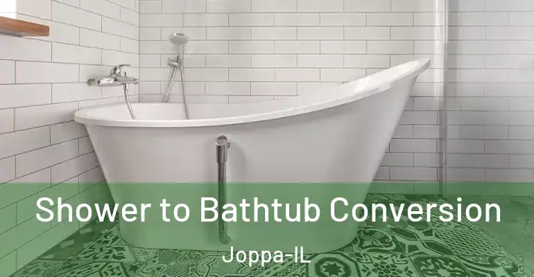 inner Bathroom imggen Shower to Bathtub Conversion Joppa-IL