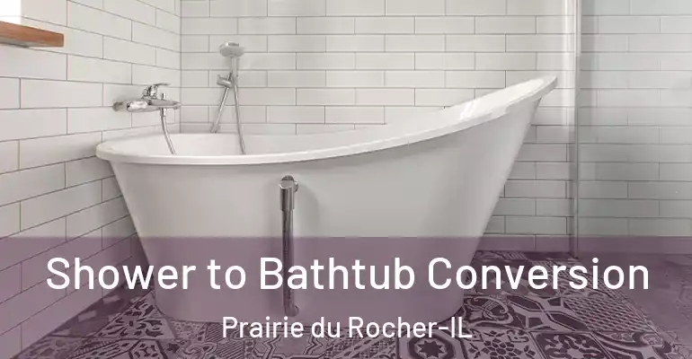 inner Bathroom imggen Shower to Bathtub Conversion Prairie du Rocher-IL