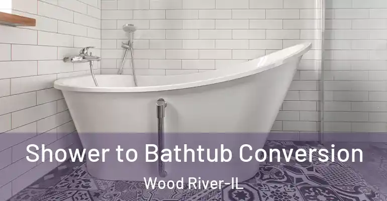 inner Bathroom imggen Shower to Bathtub Conversion Wood River-IL