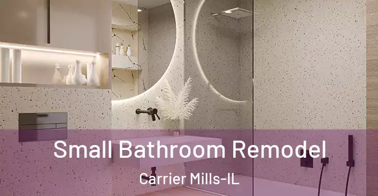 inner Bathroom imggen Small Bathroom Remodel Carrier Mills-IL
