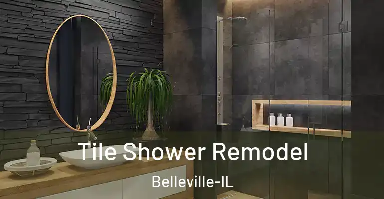 inner Bathroom imggen Tile Shower Remodel Belleville-IL