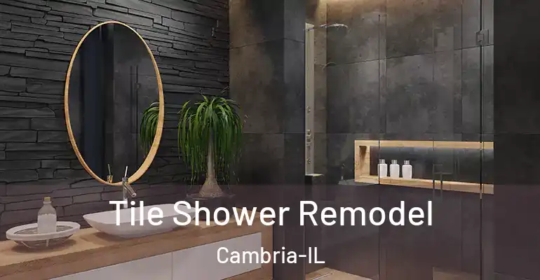 inner Bathroom imggen Tile Shower Remodel Cambria-IL