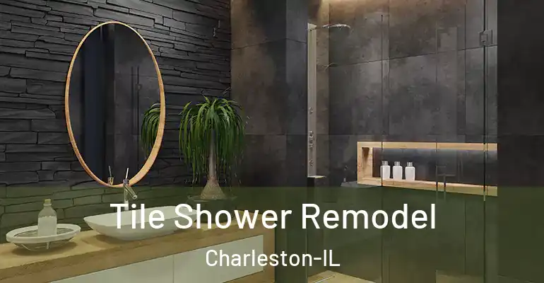 inner Bathroom imggen Tile Shower Remodel Charleston-IL