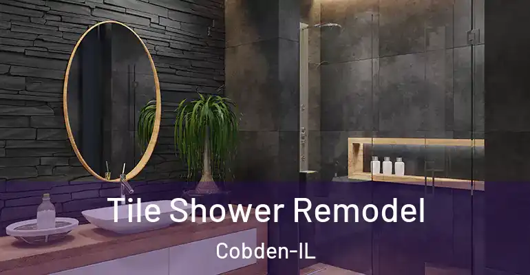 inner Bathroom imggen Tile Shower Remodel Cobden-IL