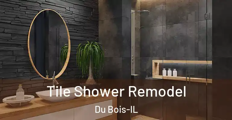inner Bathroom imggen Tile Shower Remodel Du Bois-IL