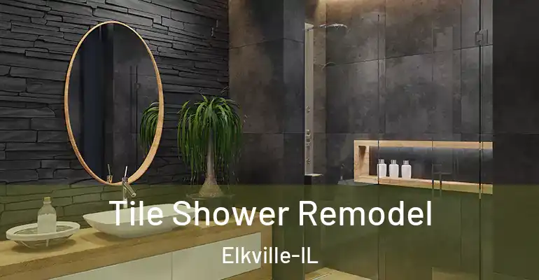 inner Bathroom imggen Tile Shower Remodel Elkville-IL