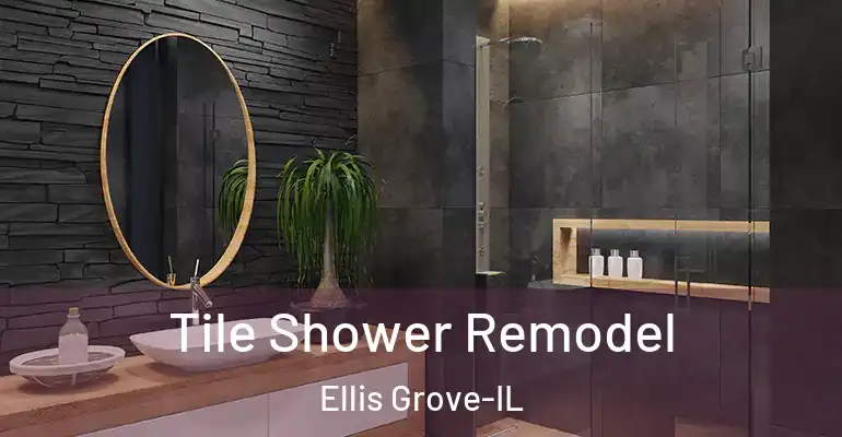 inner Bathroom imggen Tile Shower Remodel Ellis Grove-IL