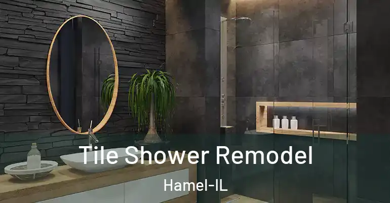 inner Bathroom imggen Tile Shower Remodel Hamel-IL
