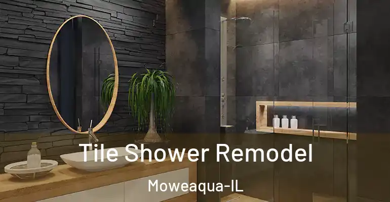 inner Bathroom imggen Tile Shower Remodel Moweaqua-IL