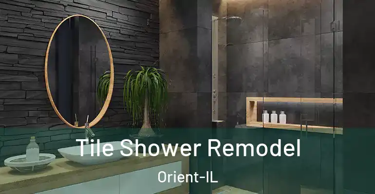 inner Bathroom imggen Tile Shower Remodel Orient-IL