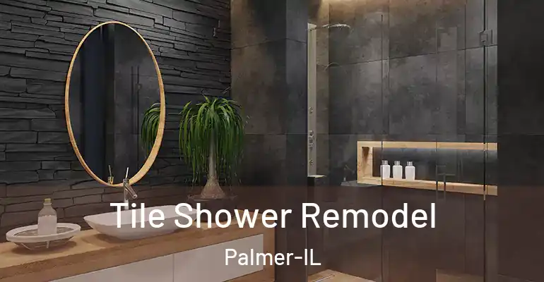 inner Bathroom imggen Tile Shower Remodel Palmer-IL