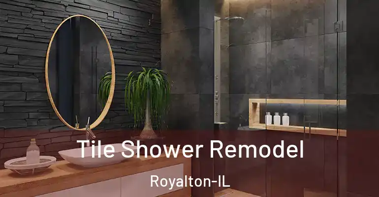 inner Bathroom imggen Tile Shower Remodel Royalton-IL
