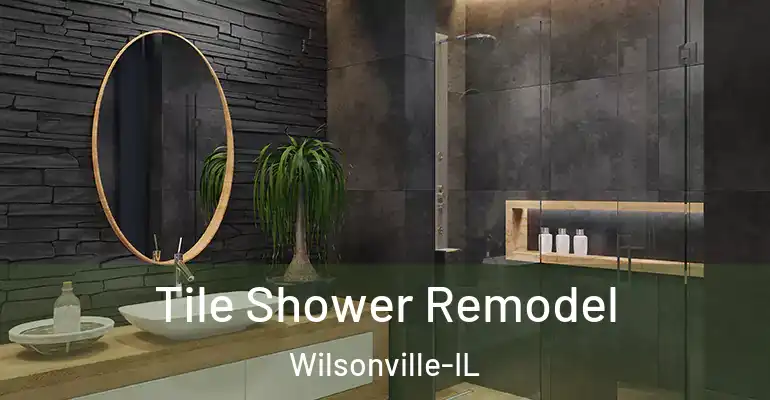 inner Bathroom imggen Tile Shower Remodel Wilsonville-IL