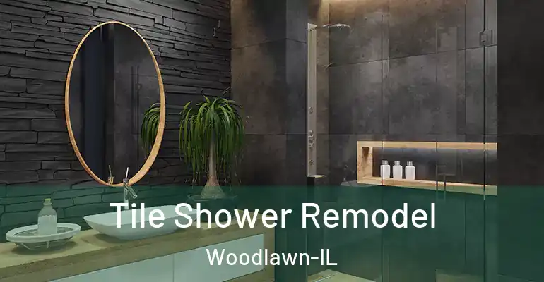 inner Bathroom imggen Tile Shower Remodel Woodlawn-IL