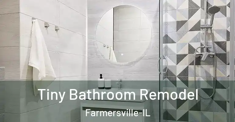inner Bathroom imggen Tiny Bathroom Remodel Farmersville-IL