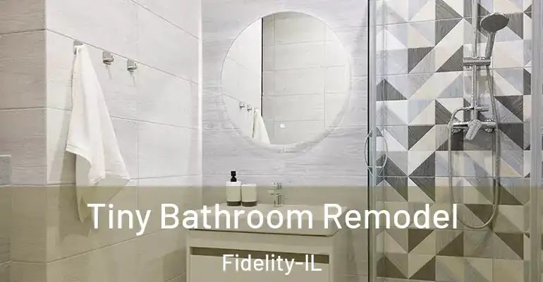 inner Bathroom imggen Tiny Bathroom Remodel Fidelity-IL