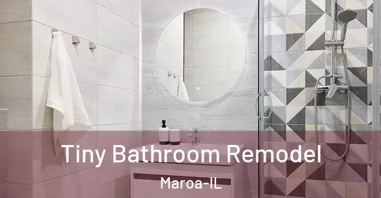inner Bathroom imggen Tiny Bathroom Remodel Maroa-IL