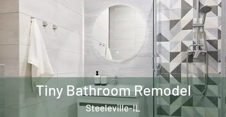 inner Bathroom imggen Tiny Bathroom Remodel Steeleville-IL