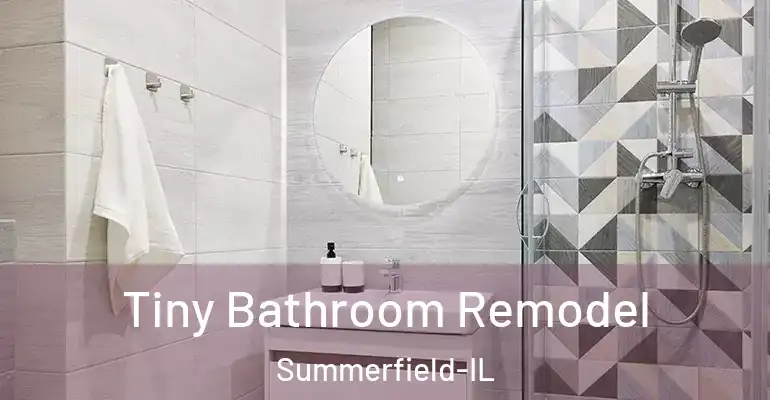 inner Bathroom imggen Tiny Bathroom Remodel Summerfield-IL