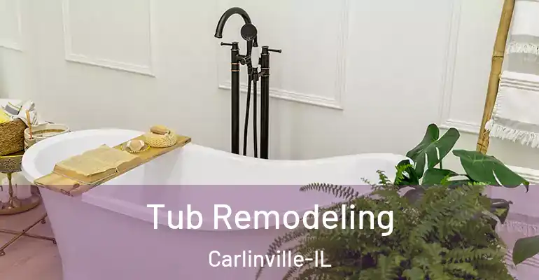 inner Bathroom imggen Tub Remodeling Carlinville-IL
