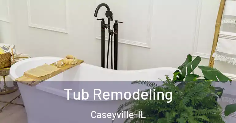 inner Bathroom imggen Tub Remodeling Caseyville-IL