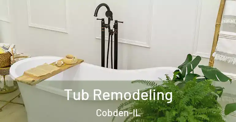 inner Bathroom imggen Tub Remodeling Cobden-IL